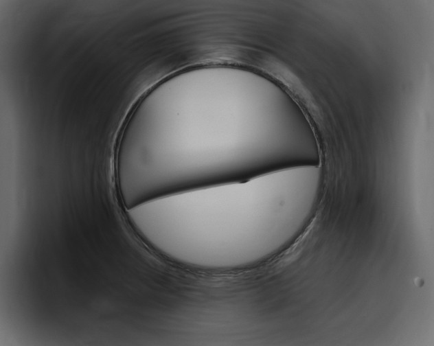X0000097491234200802220834
