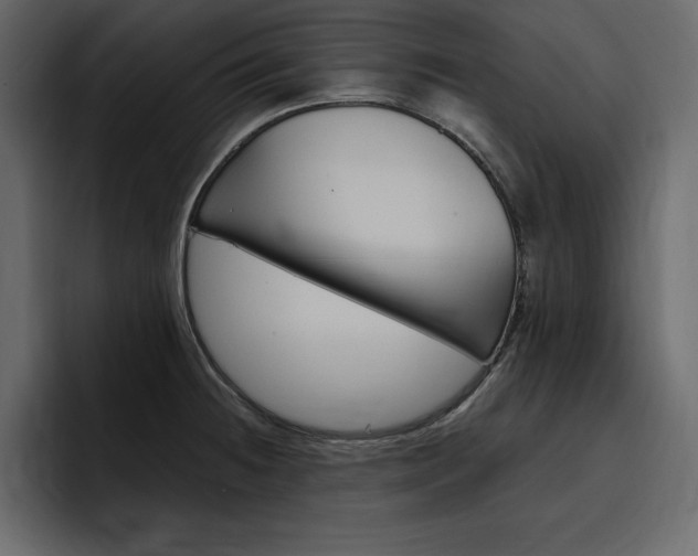 X0000097491236200802220834