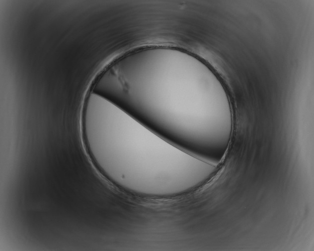 X0000097491237200802220834
