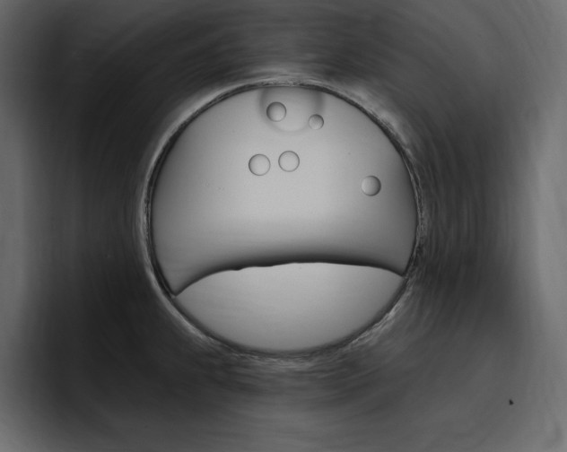 X0000097491239200802220834