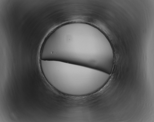 X0000097491240200802220834