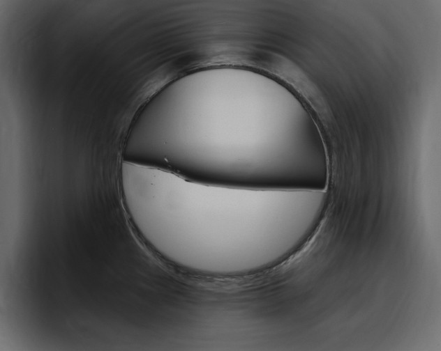 X0000097491241200802220834