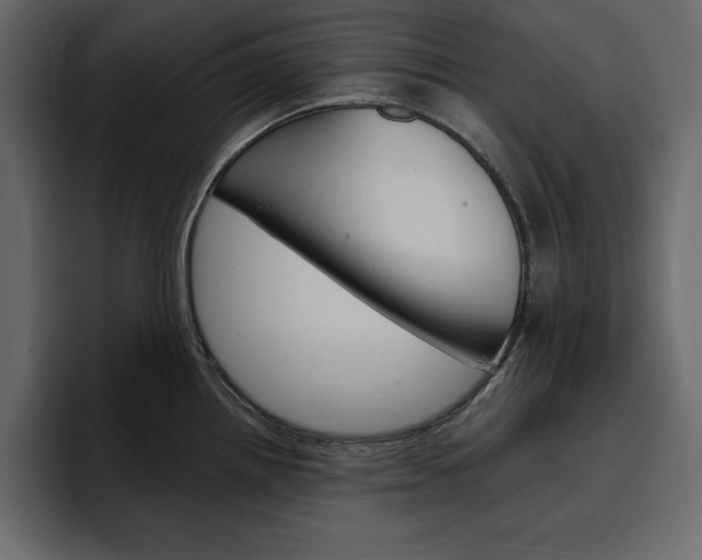 X0000097491242200802220834