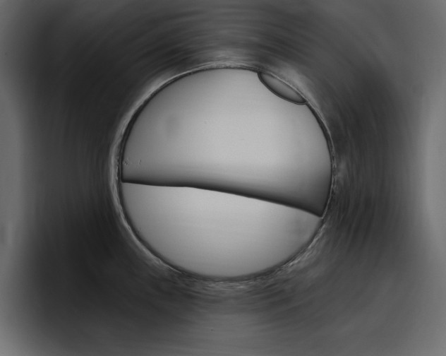 X0000097491243200802220834