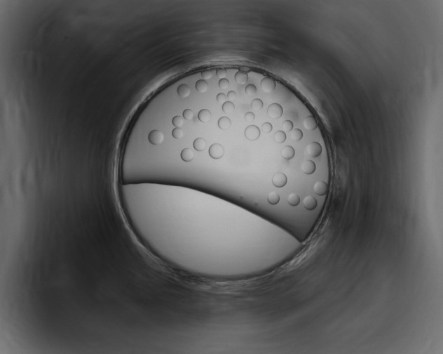 X0000097491245200802220834
