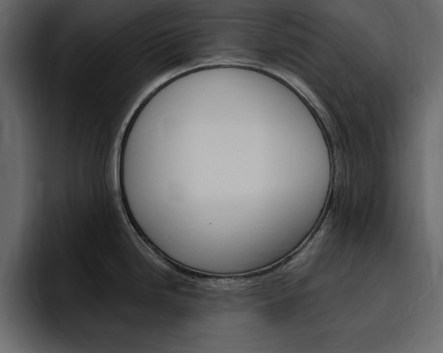 X0000097491246200802220834