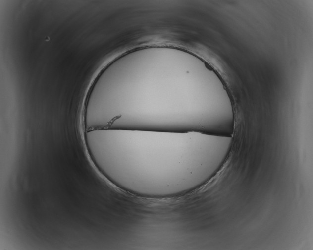 X0000097491247200802220834