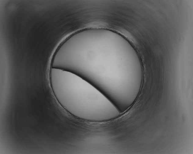 X0000097491248200802220834