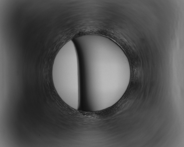 X0000097491250200802220833
