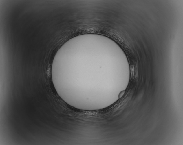 X0000097491251200802220833