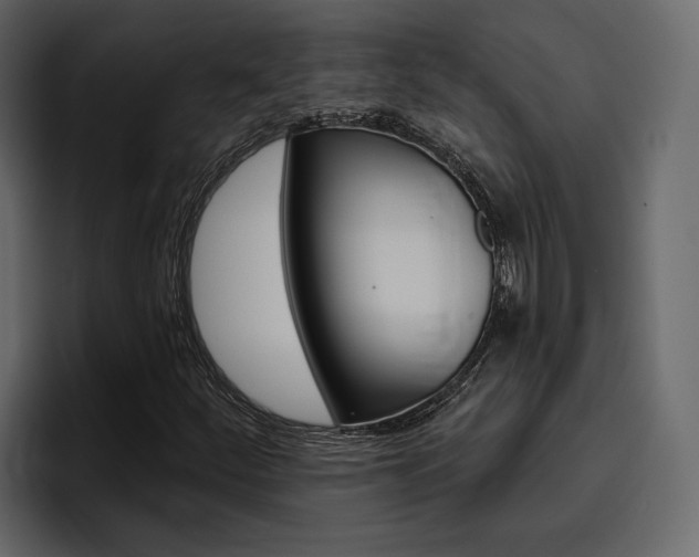X0000097491252200802220833