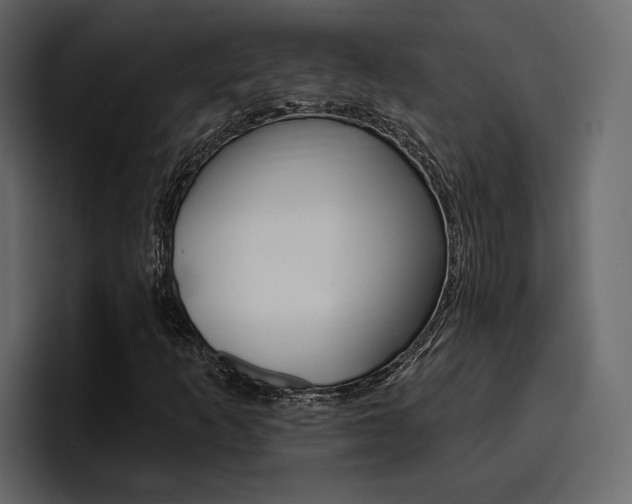 X0000097491253200802220833