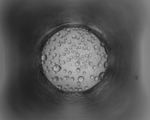 X0000097491255200802220833
