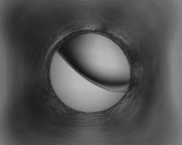 X0000097491256200802220833
