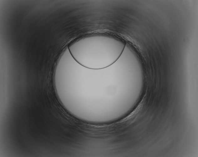 X0000097491257200802220833