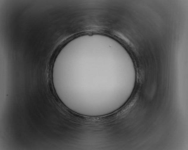 X0000097491259200802220833