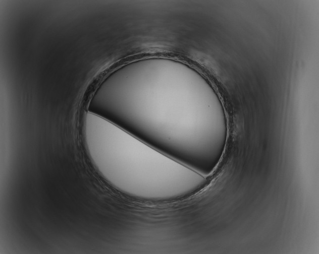 X0000097491261200802220833