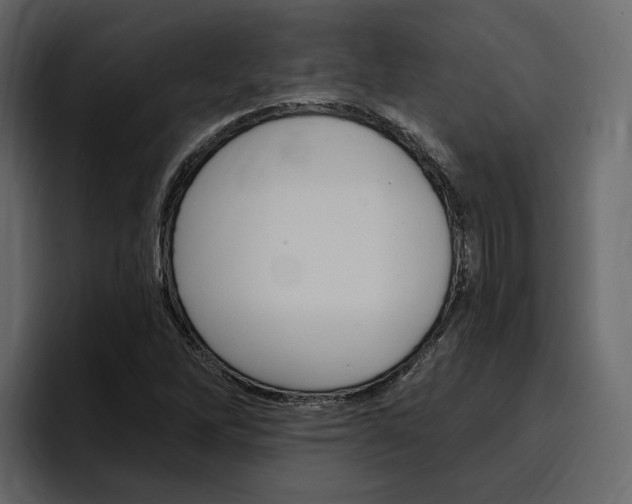 X0000097491262200802220833