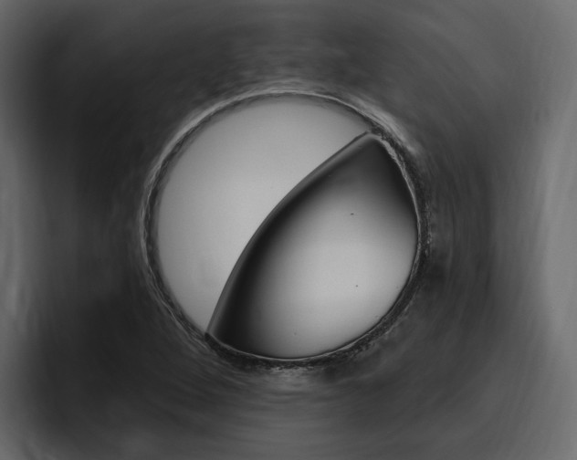 X0000097491264200802220833