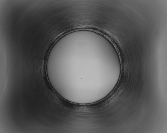 X0000097491265200802220833