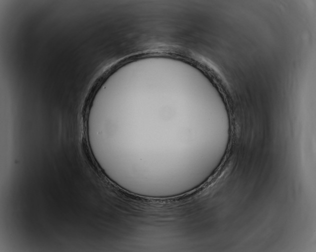 X0000097491267200802220833