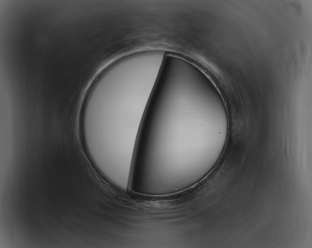 X0000097491272200802220833