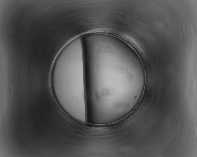 X0000097491276200802220833