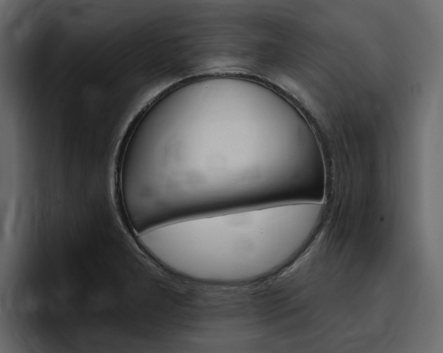 X0000097491277200802220833