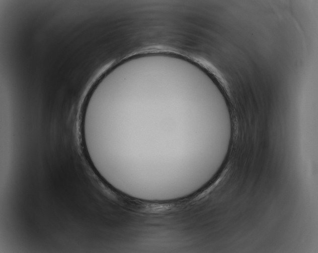 X0000097491278200802220833