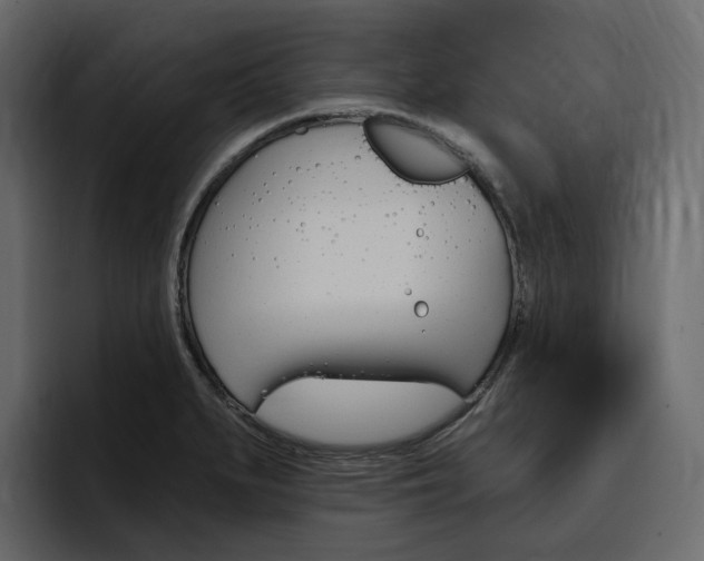 X0000097491279200802220833