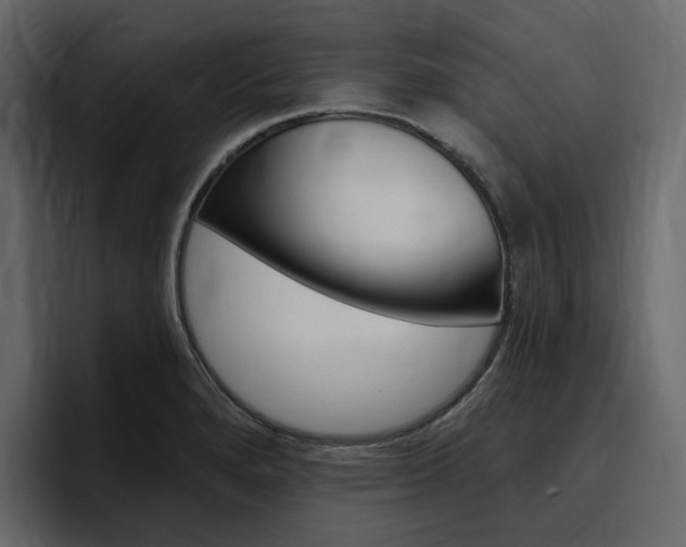 X0000097491280200802220833