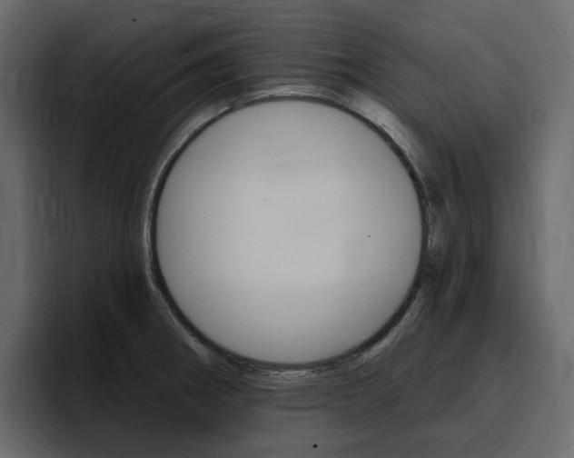 X0000097491282200802220833