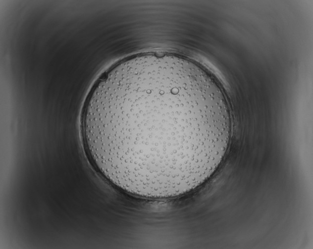 X0000097491283200802220833