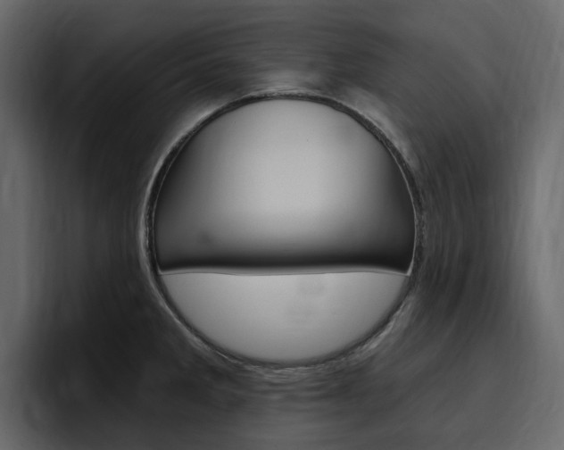X0000097491285200802220833