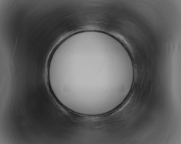 X0000097491286200802220833