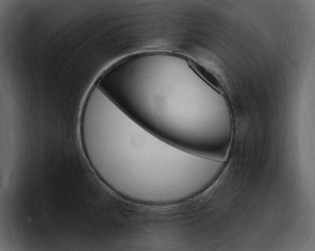 X0000097491288200802220833