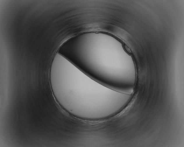 X0000097491289200802220833
