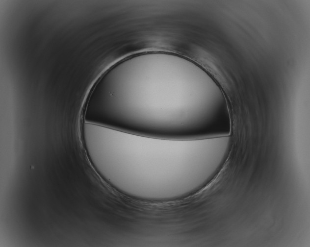 X0000097491292200802220833