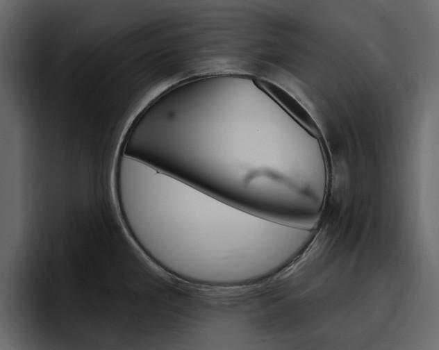 X0000097491293200802220833