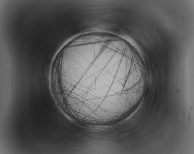 X0000097491294200802220833