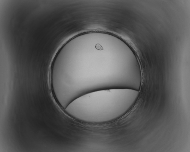 X0000097491295200802220833