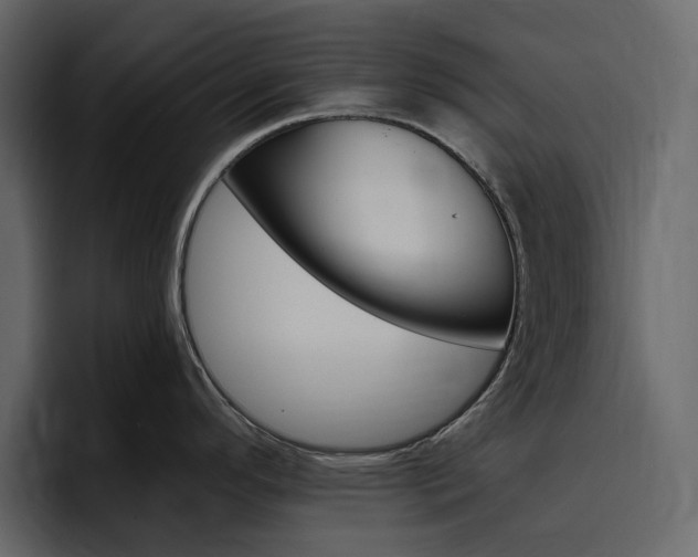 X0000097491296200802220833