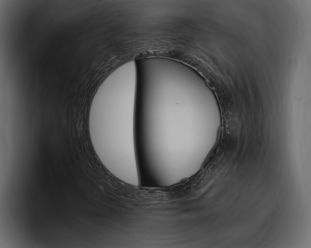 X0000097491298200802220832