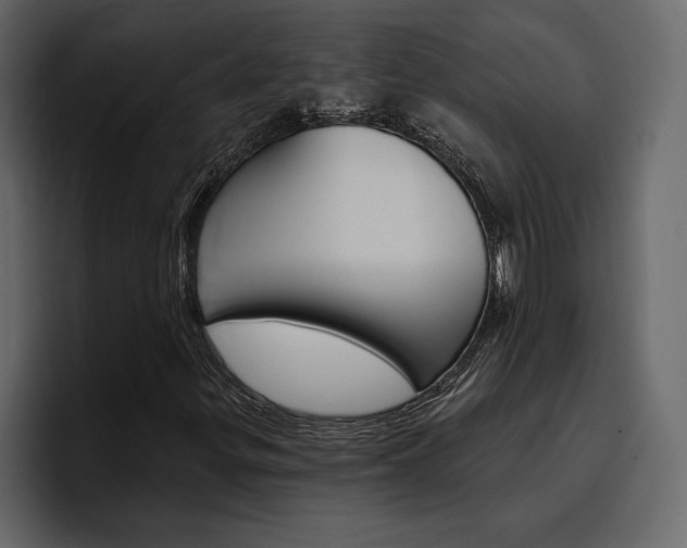 X0000097491299200802220832