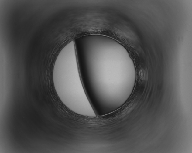 X0000097491300200802220832