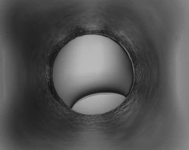 X0000097491301200802220832