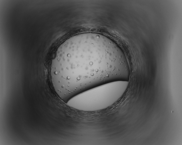 X0000097491302200802220832