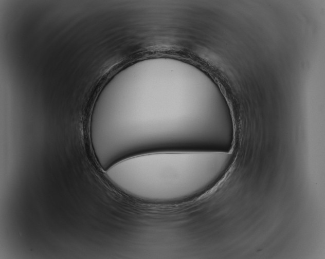 X0000097491305200802220832