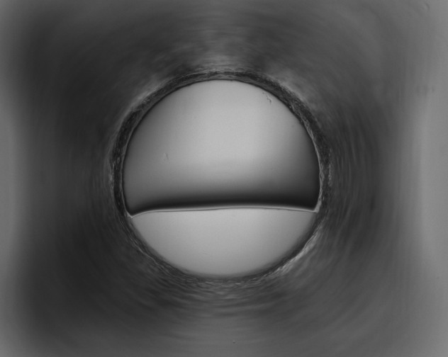 X0000097491309200802220832