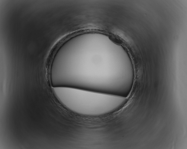 X0000097491310200802220832